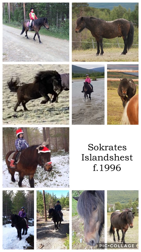 Sokrates